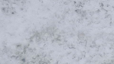 Siguen en pie los Juegos Olímpicos de Invierno Pekín 2022 a pesar de las críticas.