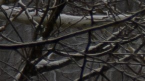 Investigadores de la NTSB buscan pistas tras colapso del puente de Pittsburgh