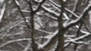 Biden visita puente derrumbado en Pittsburgh