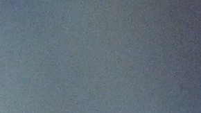 La fanaticada de los Charros de Jalisco, representantes de México en la Serie del Caribe 2022.