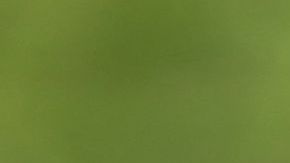 El lanzador de los Charros de Jalisco, Wilmer Rios, maniató a la ofensiva de Caimanes de Barranquilla en la tercera jornada de la Serie del Caribe 2022.