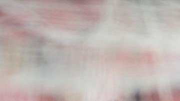 Cyle Larín celebra el primer gol del compromiso para Canadá.