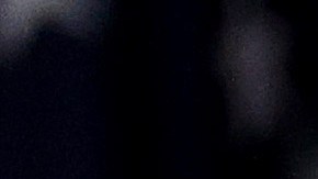 Holocausto Joe Biden