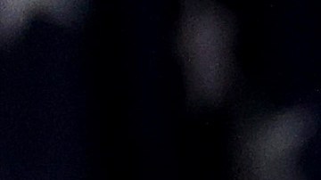 Holocausto Joe Biden