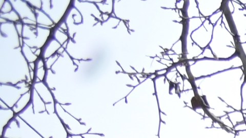 Cancelados múltiples vuelos en Estados Unidos por tormenta invernal