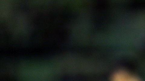Yeferson Soteldo se encuentra con Venezuela disputando las Eliminatorias Mundialistas.