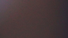 Romelu Lukaku lamentó el error y pidió disculpas.