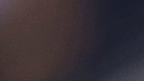 Romelu Lukaku lamentó el error y pidió disculpas.