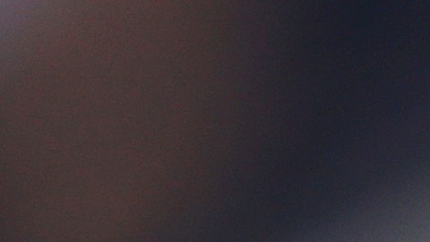 Romelu Lukaku lamentó el error y pidió disculpas.