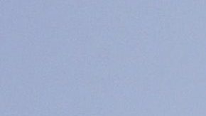 Los antivacunas de EEUU emulan a Luther King para reclamar "libertad médica"