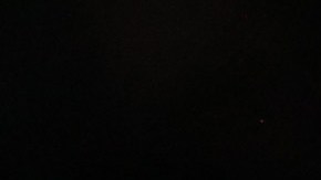 Novak Djokovic en la Copa Davis celebrada en diciembre de 2021.