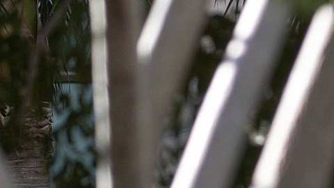 Corte donde enfrenta a la justicia un hombre acusado del asesinato del presidente de Haití.