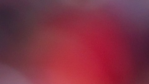 Tom Brady se podría retirar a los 44 años y tras siete anillos de campeón de la NFL.