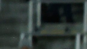 La selección de Estados Unidos, dirigida por Gregg Berhalter, deberá ganar sus próximos compromisos si quiere asegurar su participación en el Mundial de Qatar 2022.