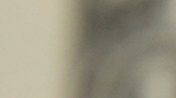 La Sec investiga los servicios de préstamos digitales.