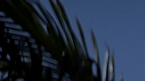 LOS ANGELES, CA - FEBRUARY 01: A for rent sign is posted in front of an apartment building on February 1, 2017 in Los Angeles, California. According to the Consumer Price Index, rental prices in Southern California have spiked 4.7 percent in 2016 compared to 3.9 percent in 2015. The increase is the fastest since 2007. (Photo by Justin Sullivan/Getty Images)