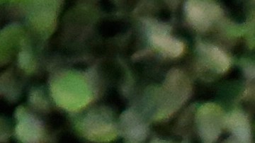 Macy's solicitará el estado de vacunación de todos sus empleados-GettyImages-800634192.jpg