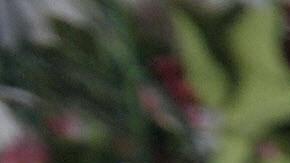 Día de la Candelaria: A todo esto, ¿cuál es el origen de esta festividad?