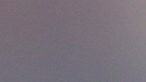 El contagio fue confirmado este domingo, luego que le practicaran una prueba de rutina.