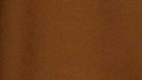 Biden J. Michelle Childs Corte Suprema