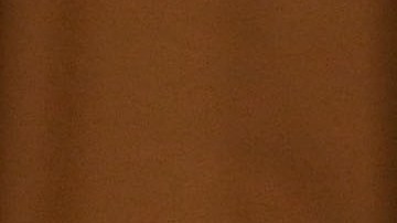 Biden J. Michelle Childs Corte Suprema