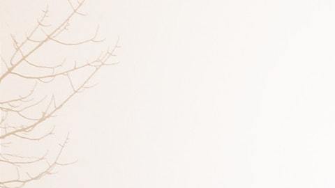 Hombre de Florida acusado por abandonar a cuatro personas, incluido un bebé, que murieron congeladas en la frontera con Canadá