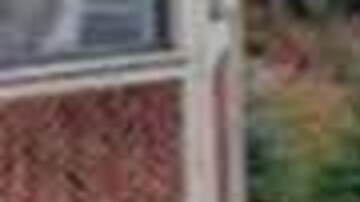 Hombre de Michigan erige estatua de 12 pies para mostrarle el dedo de en medio a su ex esposa desde casa vecina