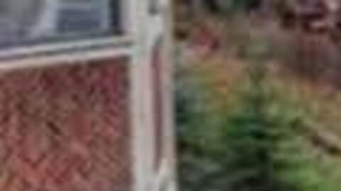 Hombre de Michigan erige estatua de 12 pies para mostrarle el dedo de en medio a su ex esposa desde casa vecina