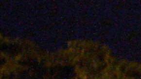 Asesinato en México