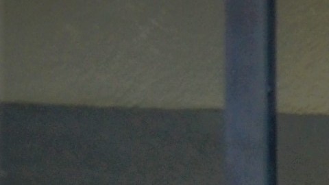 Sacrificaron su salud para mantener y ayudar a las comunidades durante la pandemia. (Fotos cortesía Kisha Bari)