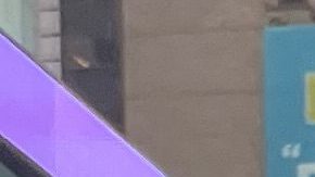 Activistas mantiene su presión para lograr la protección de indocumentados.