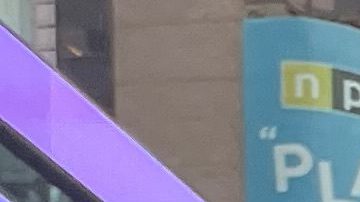 Activistas mantiene su presión para lograr la protección de indocumentados.