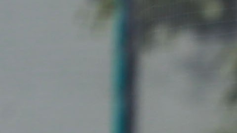 Paseserini jugó en dos etapas con Cruz Azul.