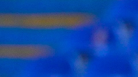 Marcelo Flores