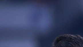 América sumaría su tercer refuerzo en el torneo.