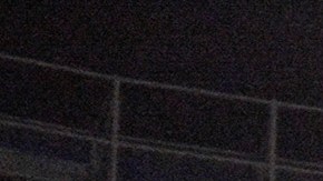 Jugadores del Club América celebran el gol de Salvador "Chava" Reyes, el tercer más rápido en la historia del fútbol mexicano de primera división.