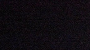 Águilas del América