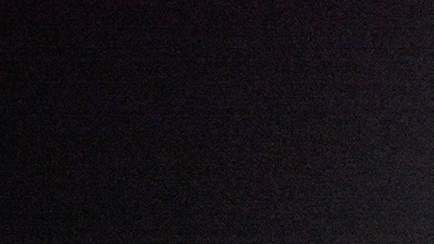 Águilas del América