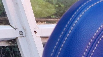 Chivas tendrá una alianza con el PSV hasta 2024.