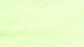 Tigres Nuevo León