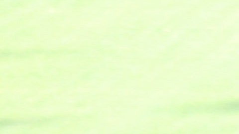 Tigres Nuevo León