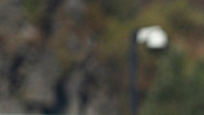 Eugenio Pizzuto salió del Pachuca directo al Lille de Francia.