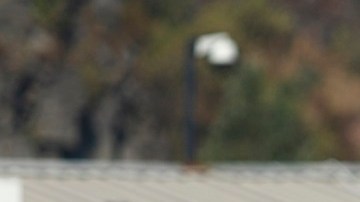 Eugenio Pizzuto salió del Pachuca directo al Lille de Francia.