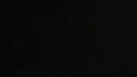 Julio Cesar Chavez Jr