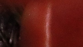 Julio Cesar Chavez Jr