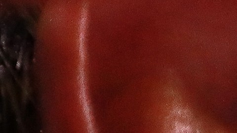 Julio Cesar Chavez Jr