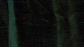 Lis Vega acalora las redes sociales.