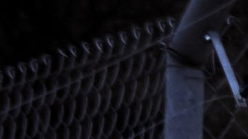 Mamá intenta matar a su propia hija de 3 años al arrojarla 16 pies dentro de una jaula de osos en un zoológico