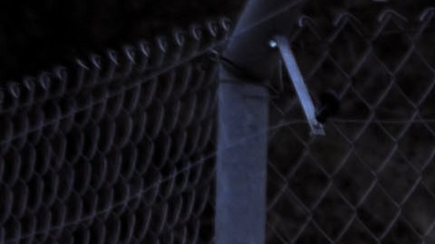 Mamá intenta matar a su propia hija de 3 años al arrojarla 16 pies dentro de una jaula de osos en un zoológico