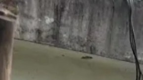 Aparece narcomanta con amenazas y detalles de un multihomicidio al sur de México.